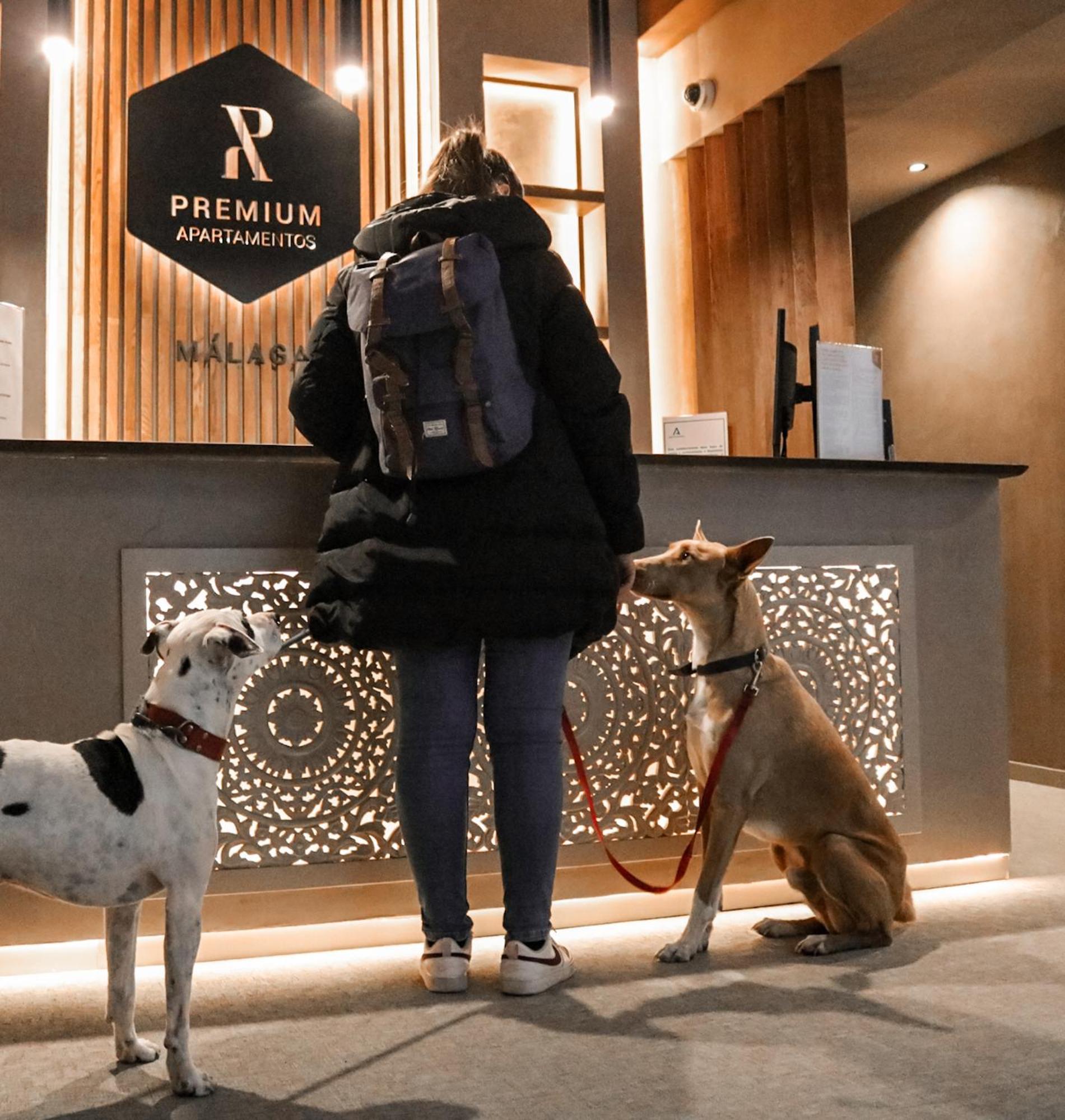 Apartamentos Malaga Premium - Calle Granada Dış mekan fotoğraf